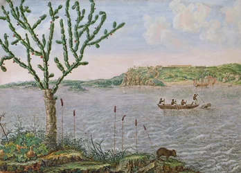 Uitzicht op Fort Maurice aan de Rio San Francisco